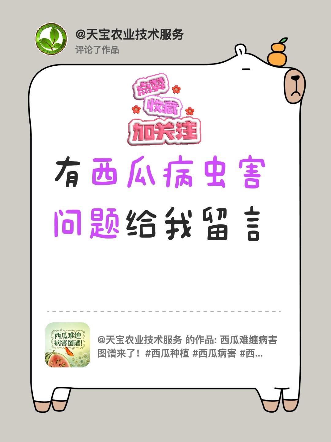 有西瓜病虫害问题给我留言！我评论了@天宝农业技术服务 的作品：
有西瓜病虫害问题