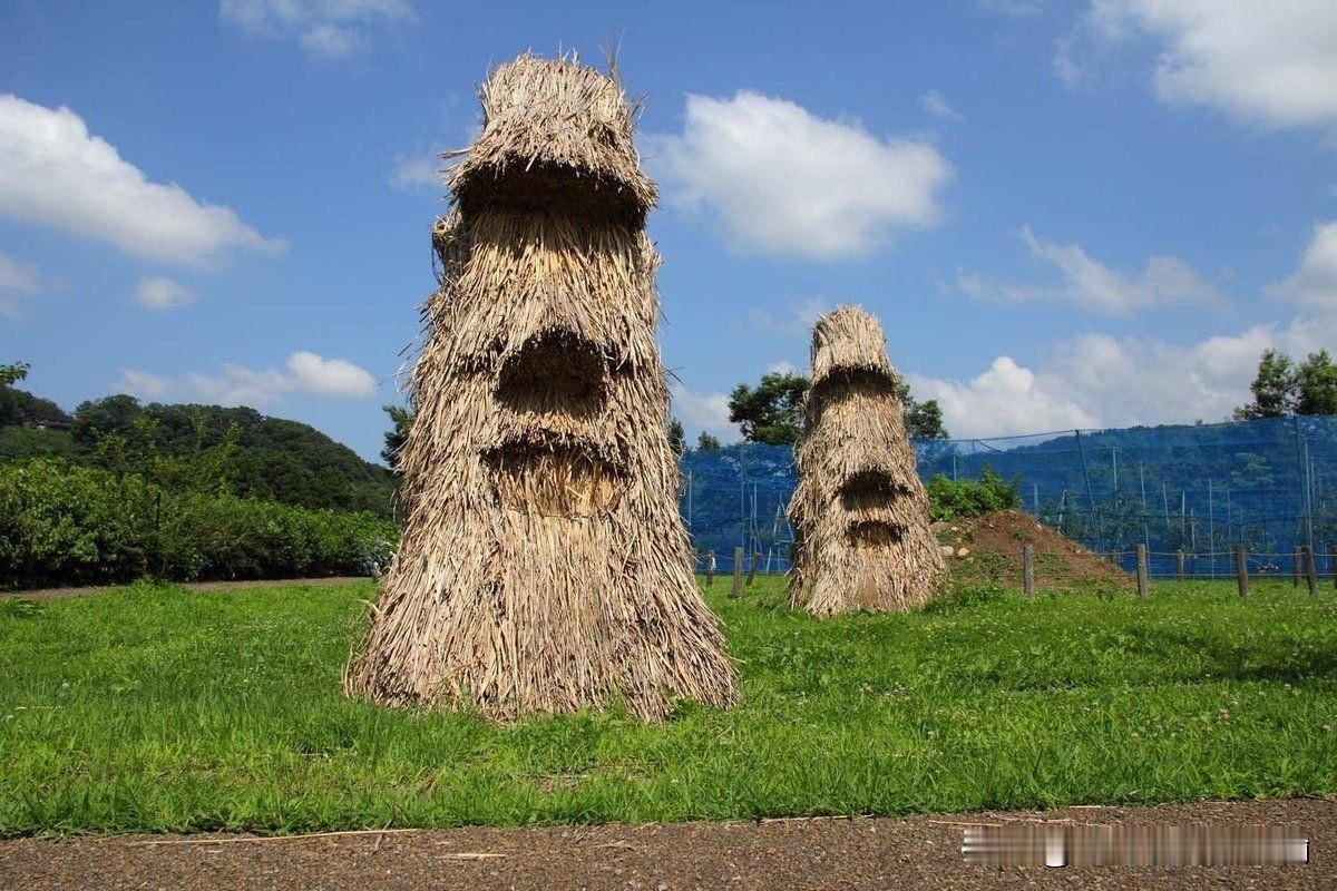 🗿：人类科技...太先进了...