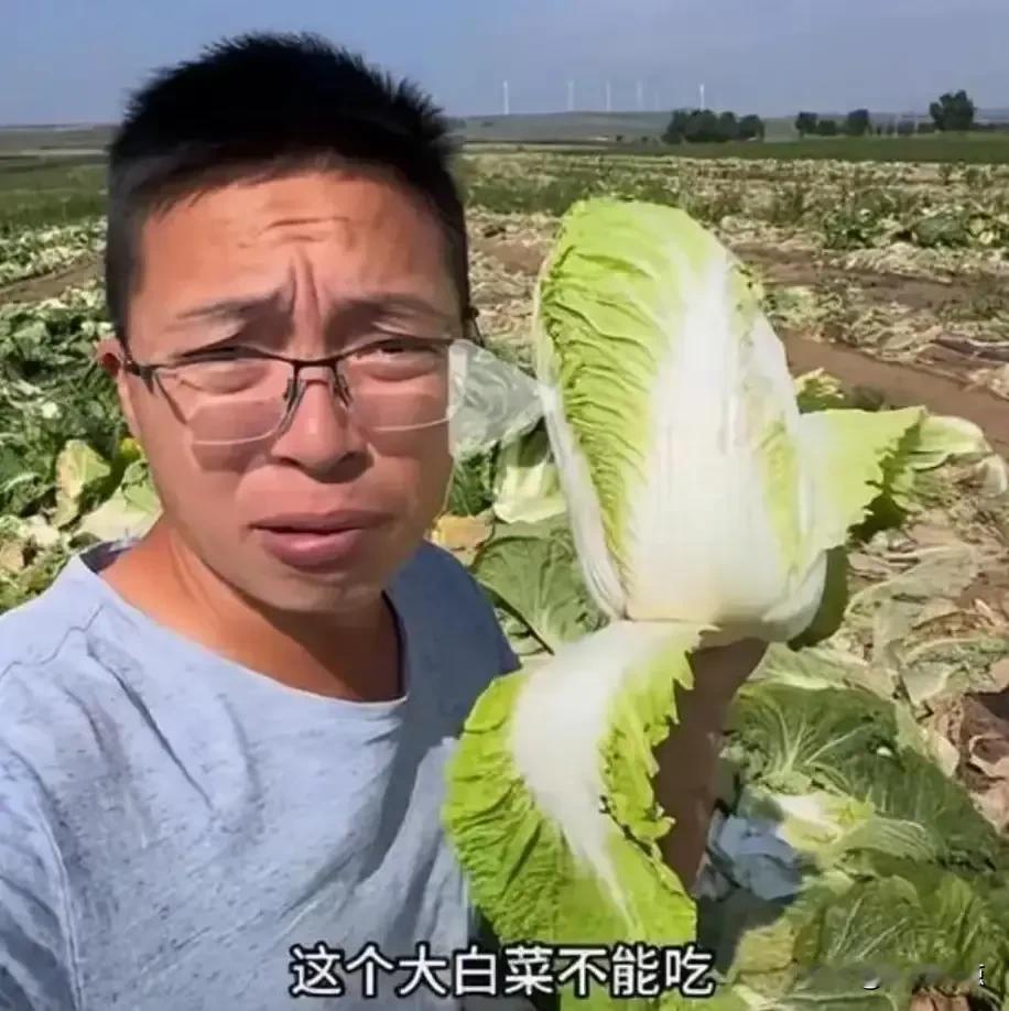 白菜蘸甲醛运往外地，3人终于被刑拘！这事儿没完你买的大白菜，可能是用甲醛泡过的。