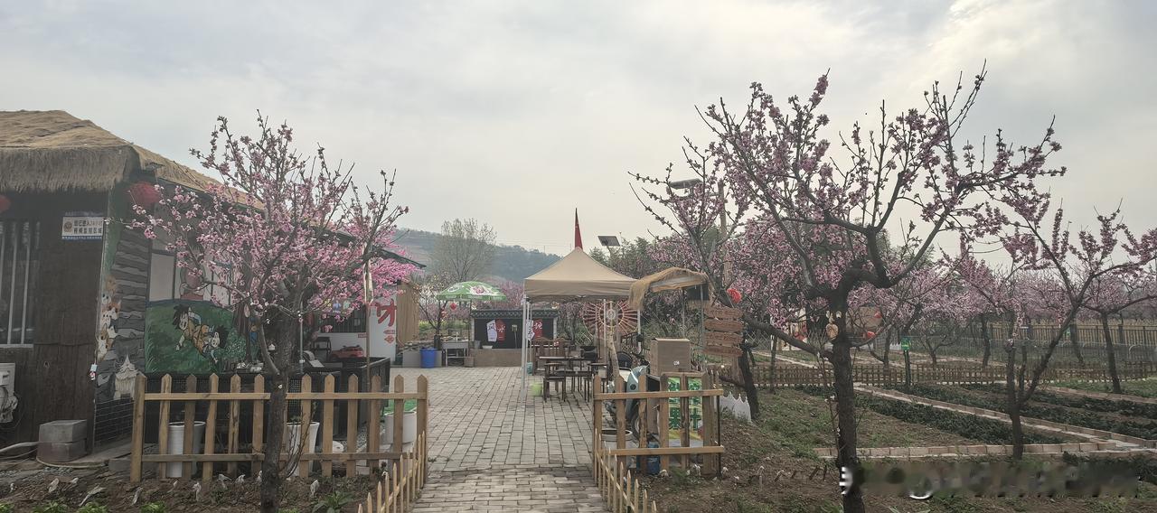 很喜欢的一句话：种一棵树最好的时间是十年前，其次就是现在。世上没有不劳而获的东西