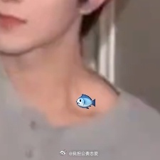 锁骨可以养___ 