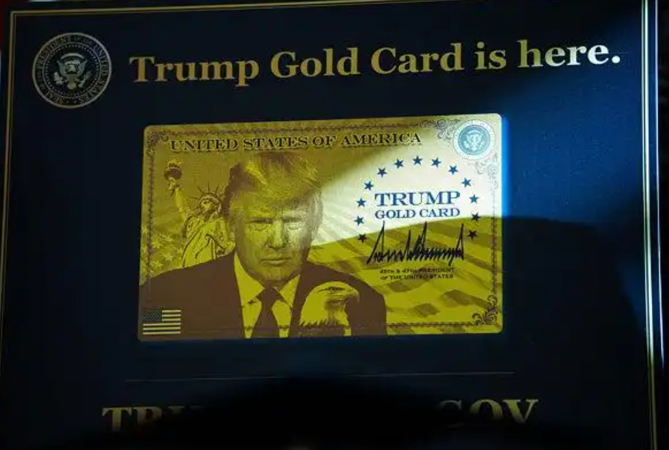 对于有钱人来说 “特朗普黄金卡”签证100万美元其实并不贵问题是，下一任美国总统
