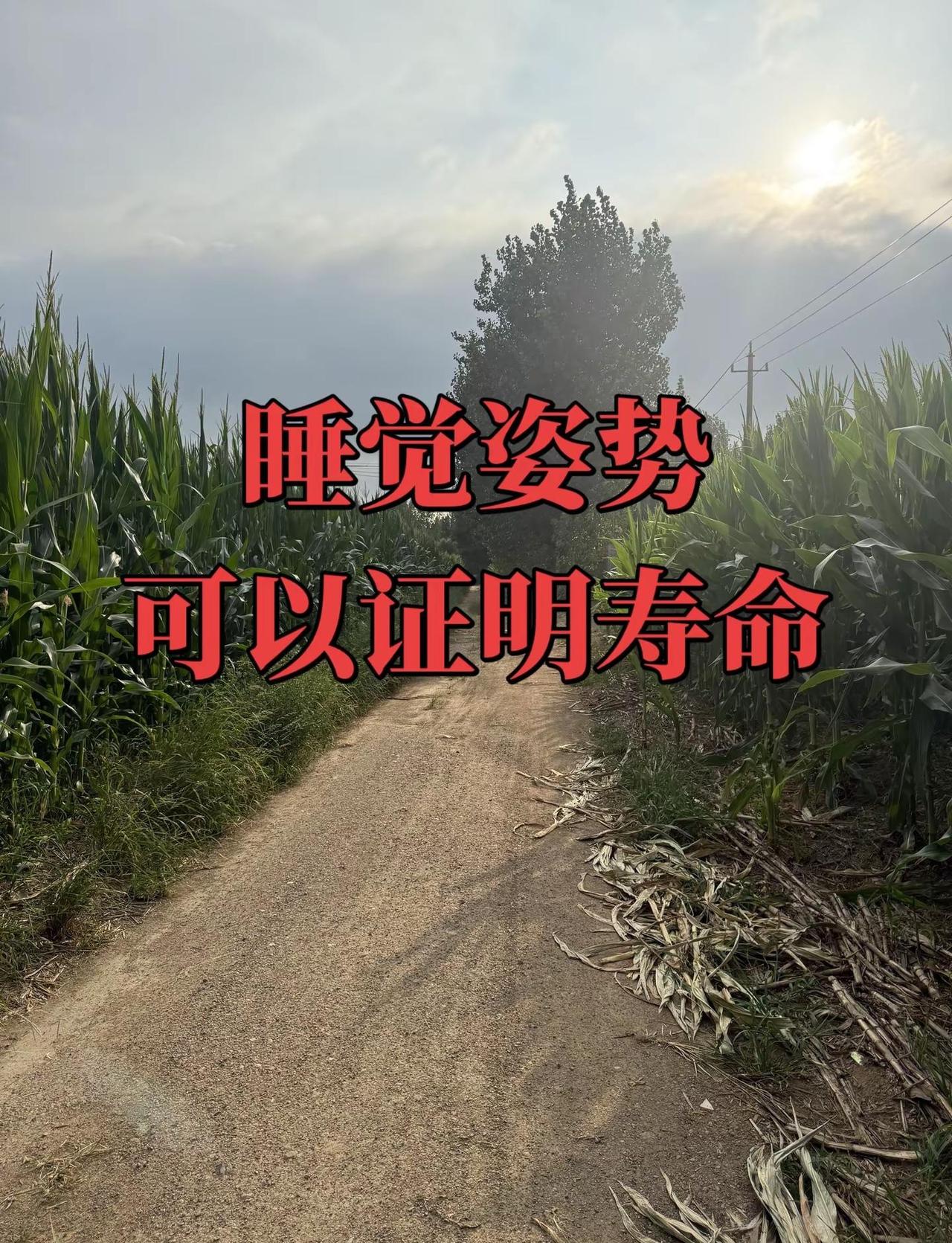 WTT美国大满贯资格赛签表&赛程出炉🔥黄友政首轮直接轮空，和陈颢桦处在同一分区
