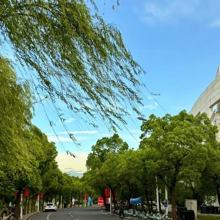 高铁上，一男一女挨着座位。男生主动开口:“小姐姐，你气质真好，能不能加个微信认识