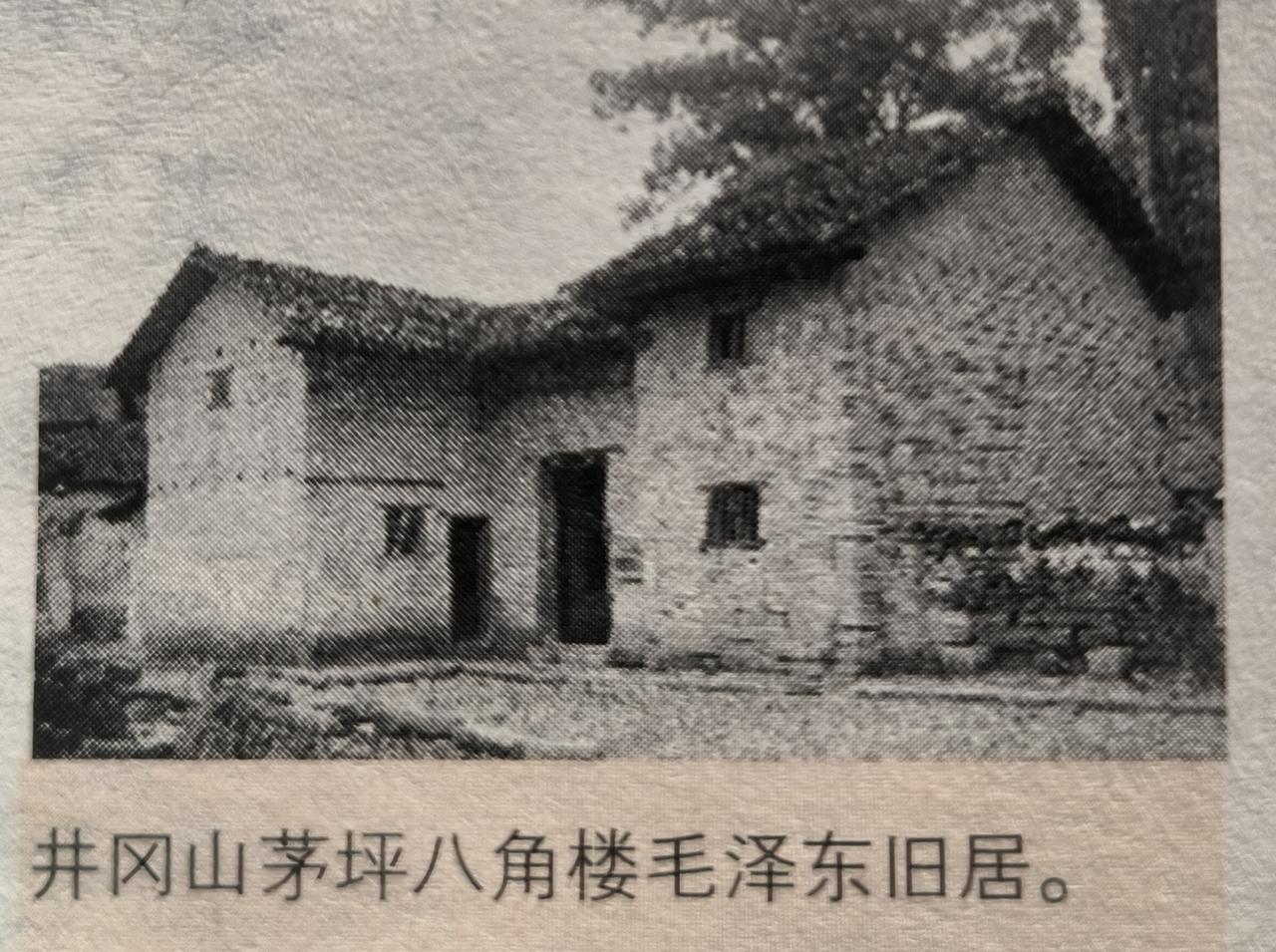 毛泽东张家坊被捕脱险，发生在秋收起义前夕。八七会议之后，毛泽东以中央特派员身份，