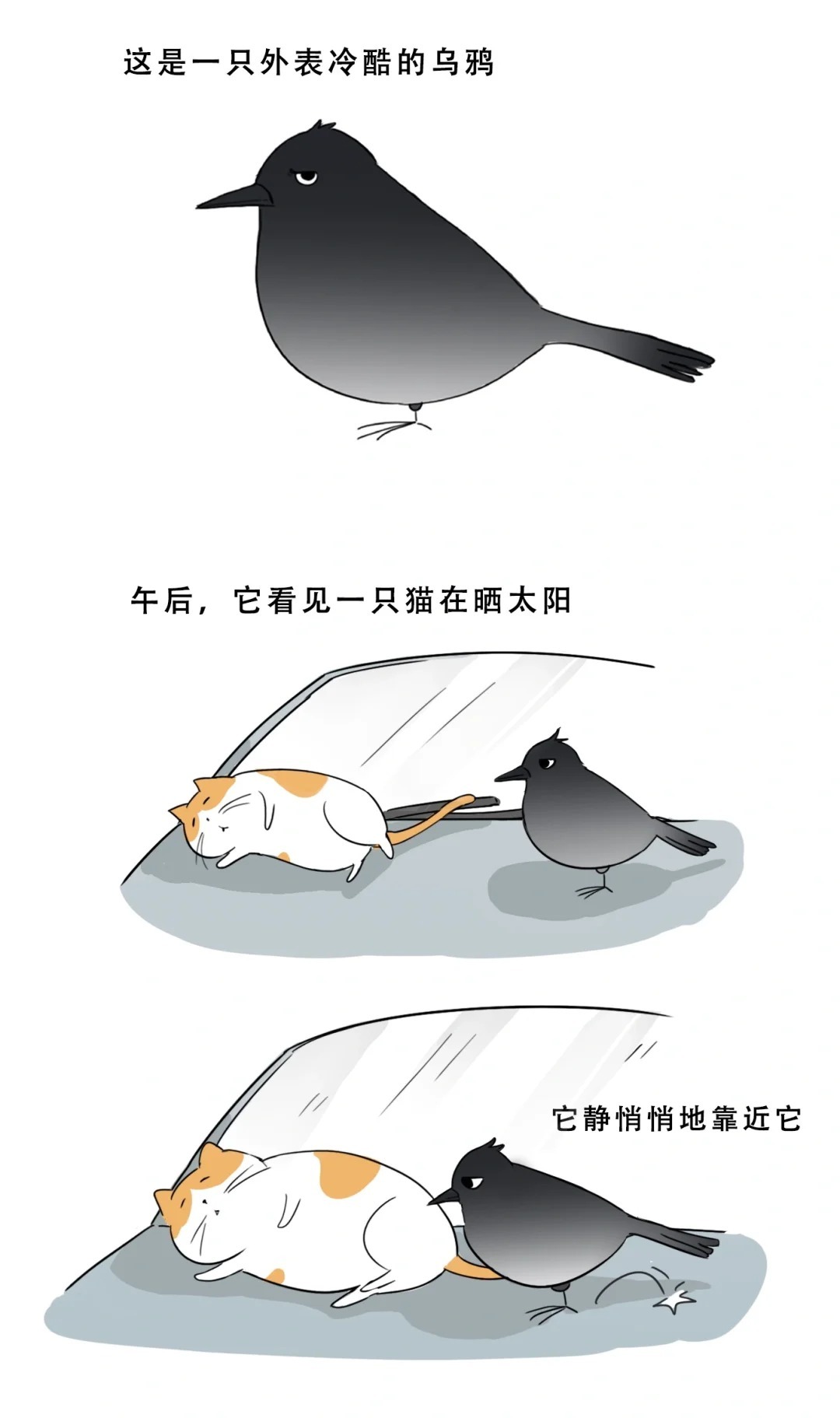 这是一只会吸猫的乌鸦大家有没有联想到什么[doge][doge]（这不就是彻子哥