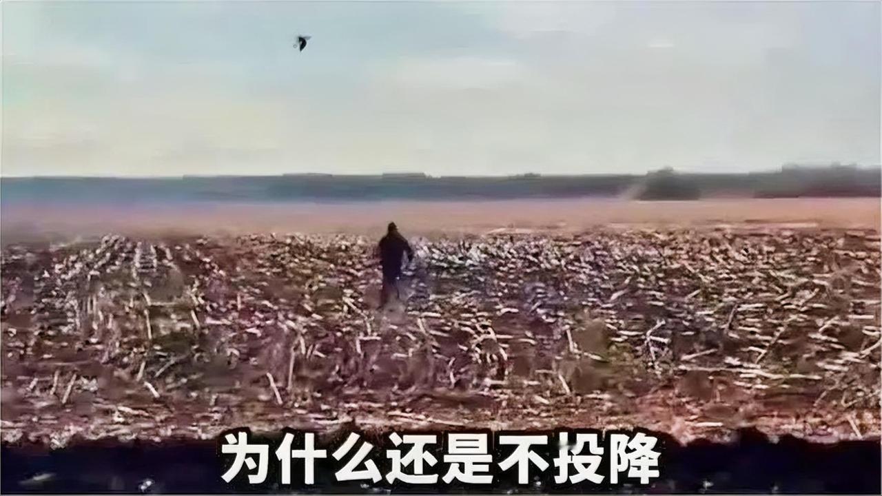 乌克兰处境艰难，泽连斯基为何硬扛？(3)