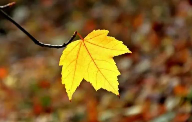 我一个朋友欠我22000，整整五年。
五年里，我跟她要过无数次。她总是说缓一缓、