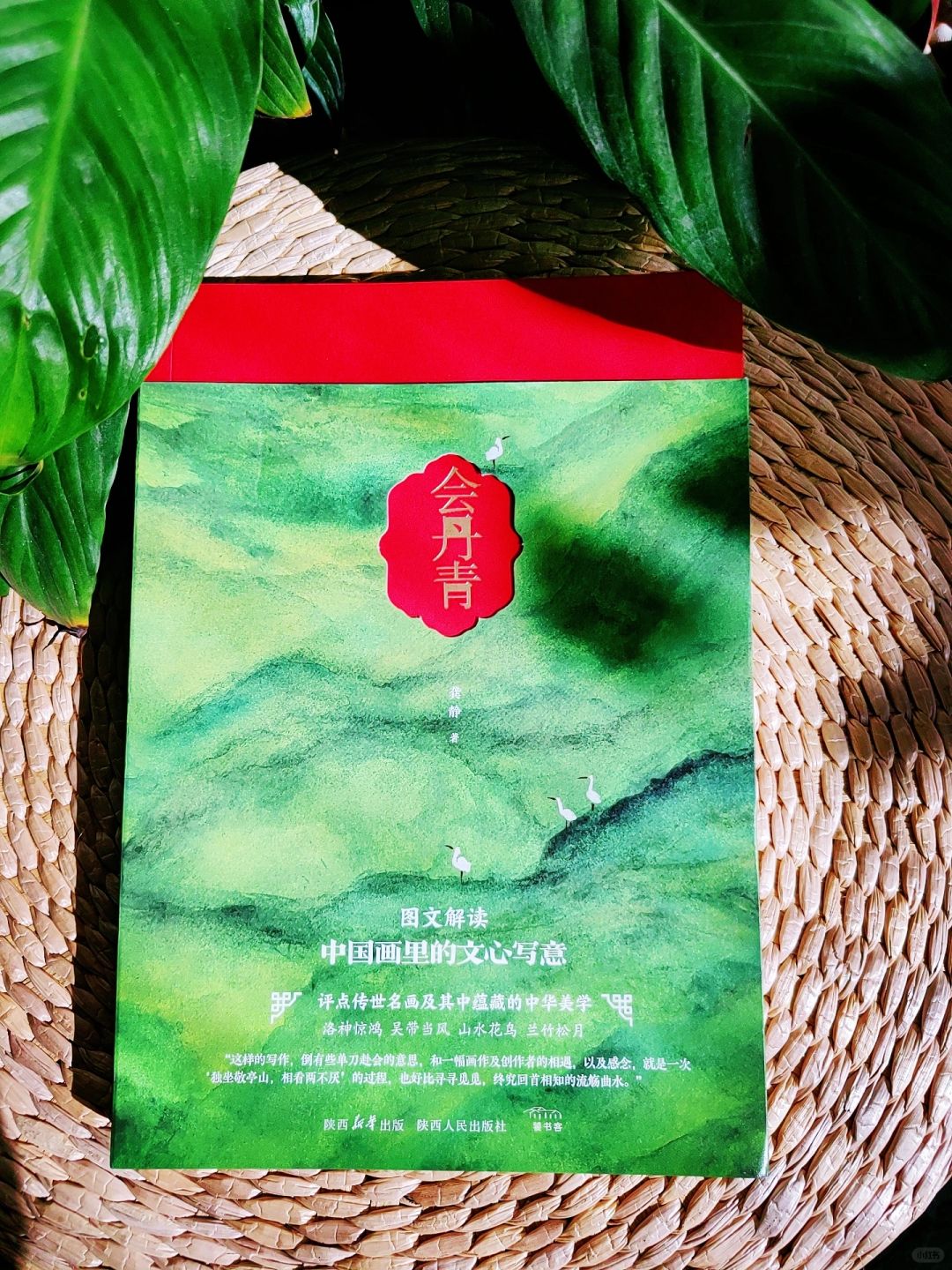 氛围感是冬日最显贵的单品--会丹青，品自然