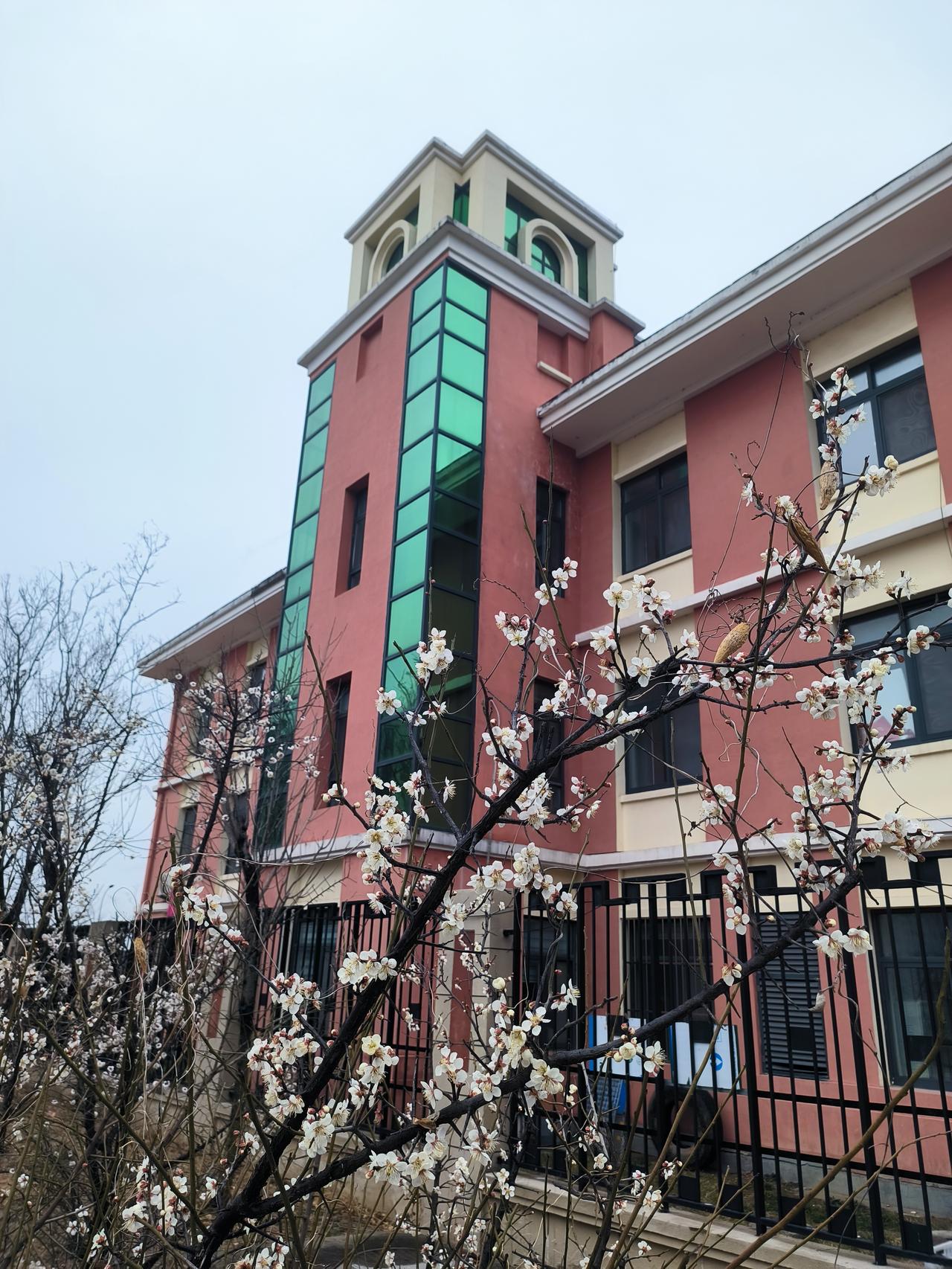 小王老师被教导主任批了一顿。

原来小王老师在上课的时候发现有两个学生打闹，为了