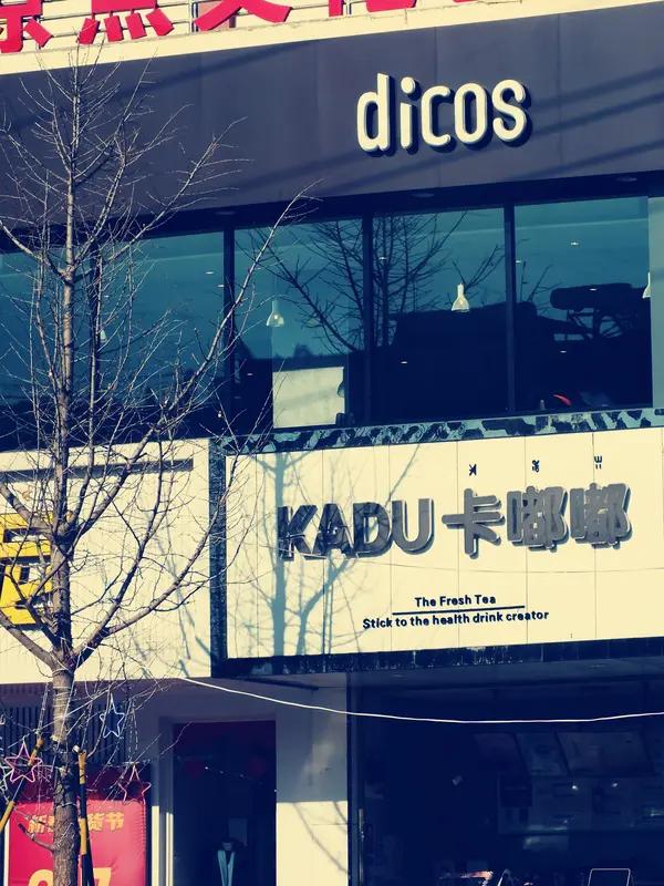 库迪咖啡这次摊上事儿了！近日，有网友应聘库迪咖啡，因白化病遭遇HR“区别对待”。