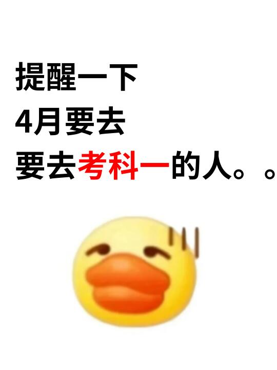 4月考科目一，这样看也太简单了吧！！