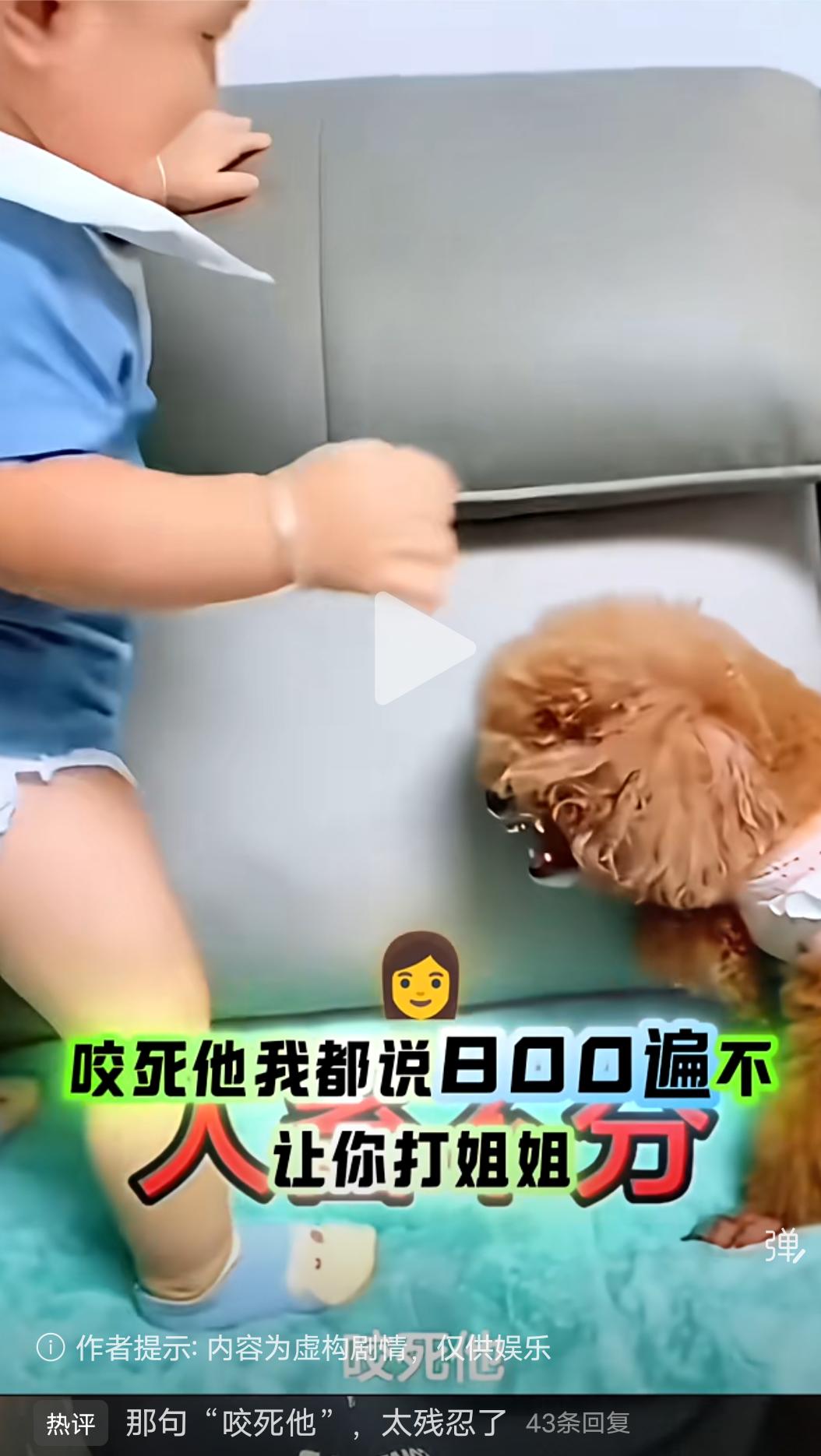 人畜不分了！
 今天刷到这样一个视频，一位女博主发布了这样一个视频，视频中一个刚