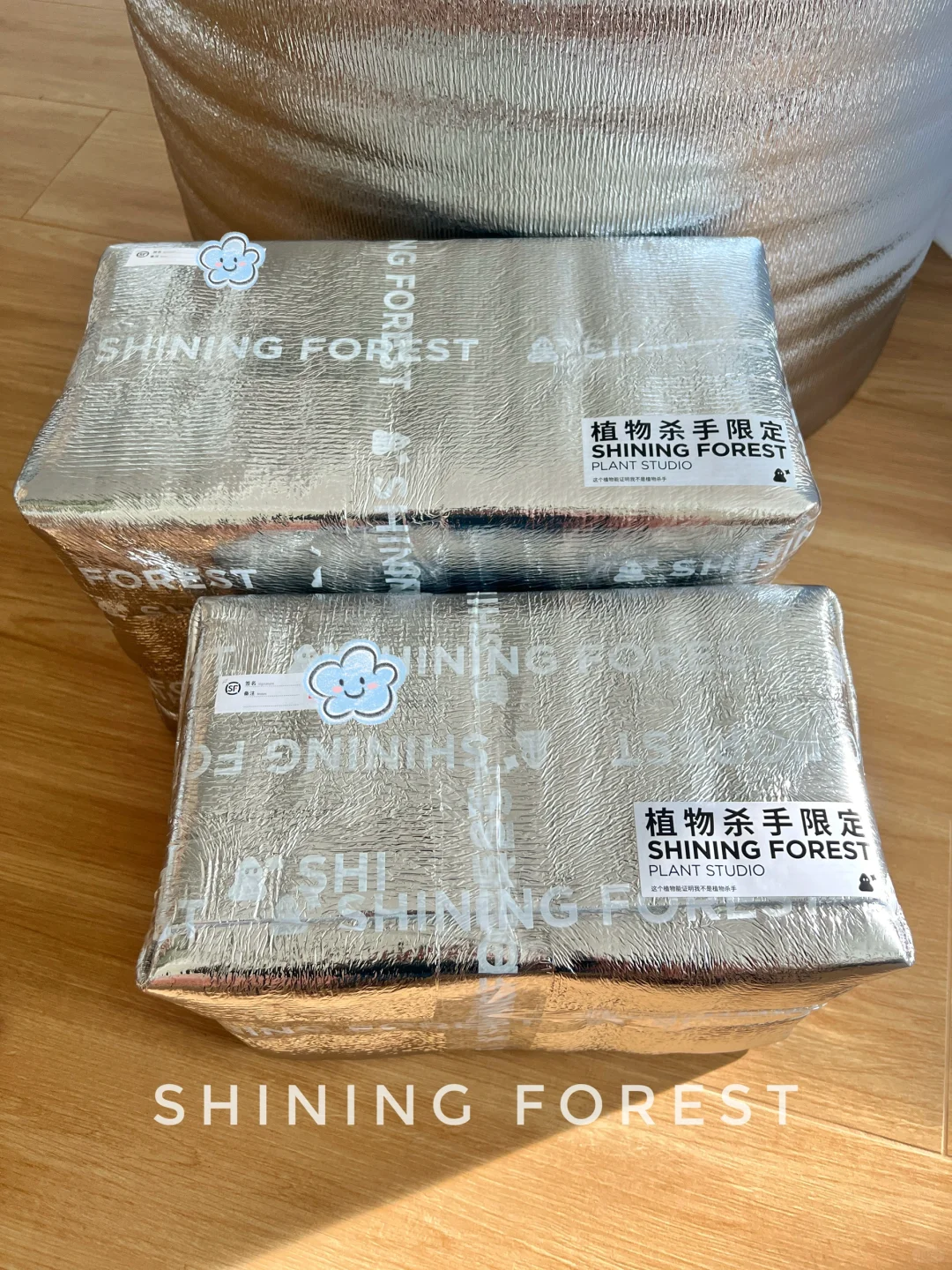 冬日植物杀手限定🥷