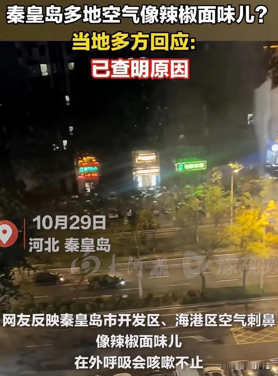 秦皇岛市开发区，海港区。刺鼻气味你们闻到了吗，2024年10月29日，河北秦皇岛