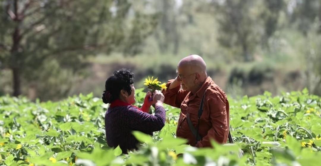 你敢信？一个普普通通的农村大姨，竟然让全世界180多个国家的老外都在看她的故事！