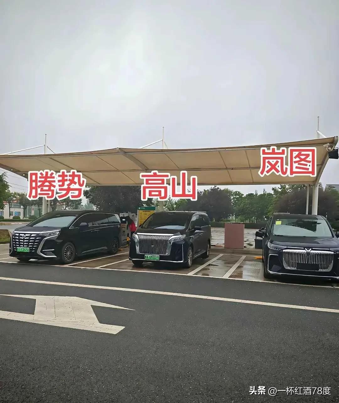 今天在路边看到腾势、高山、岚图竟然同框，同样作为商务车，如果要是让你选一款作为自