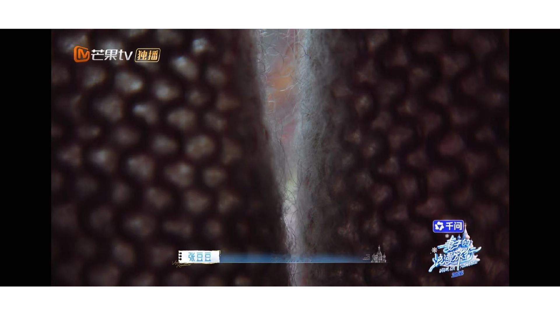 张豆豆不和孙杨拉手的原因张豆豆让孙杨给她点面子 不是不爱，只是慢热。张豆豆不是不
