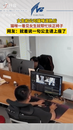 “万物皆有灵！”安徽一女子和公司的小猫混熟后，她一推开屋门，小猫就嗖的一下跑到女
