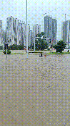 洪水齐胸仍送外卖，该点赞还是该劝阻？
暴雨肆虐城市主干道被洪水彻底淹没，浑浊积水