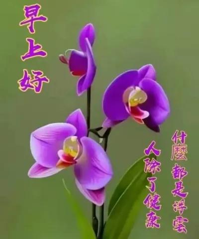 一生平安无所求
顺其自然少忧愁
开心快乐人长寿
粗茶淡饭度春秋