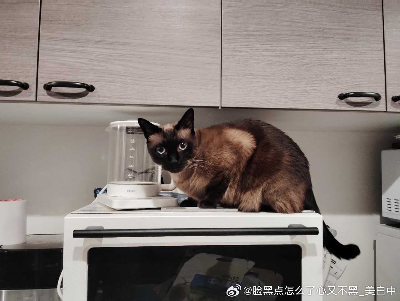 早安逼罗 ​​​