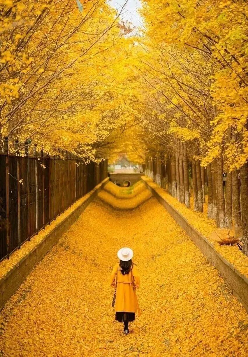 、对谁都掏心掏肺，一点防备都没有，这样的人其实特傻！
有的人天生心软，总觉得世上