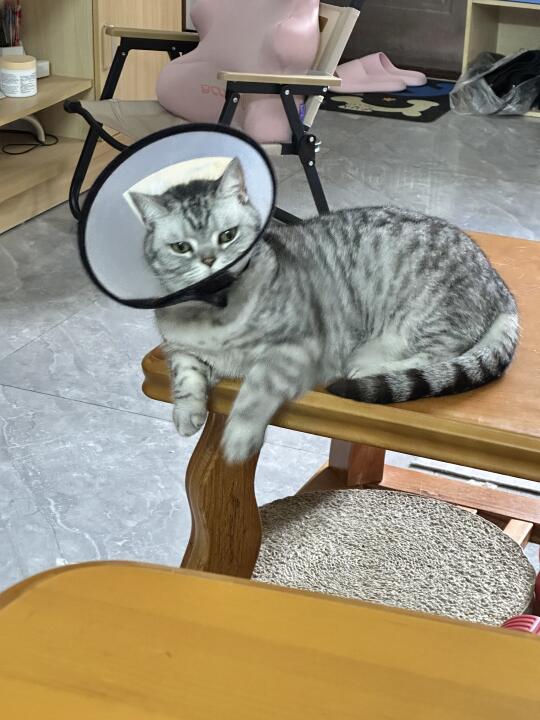 我就说能学到东西