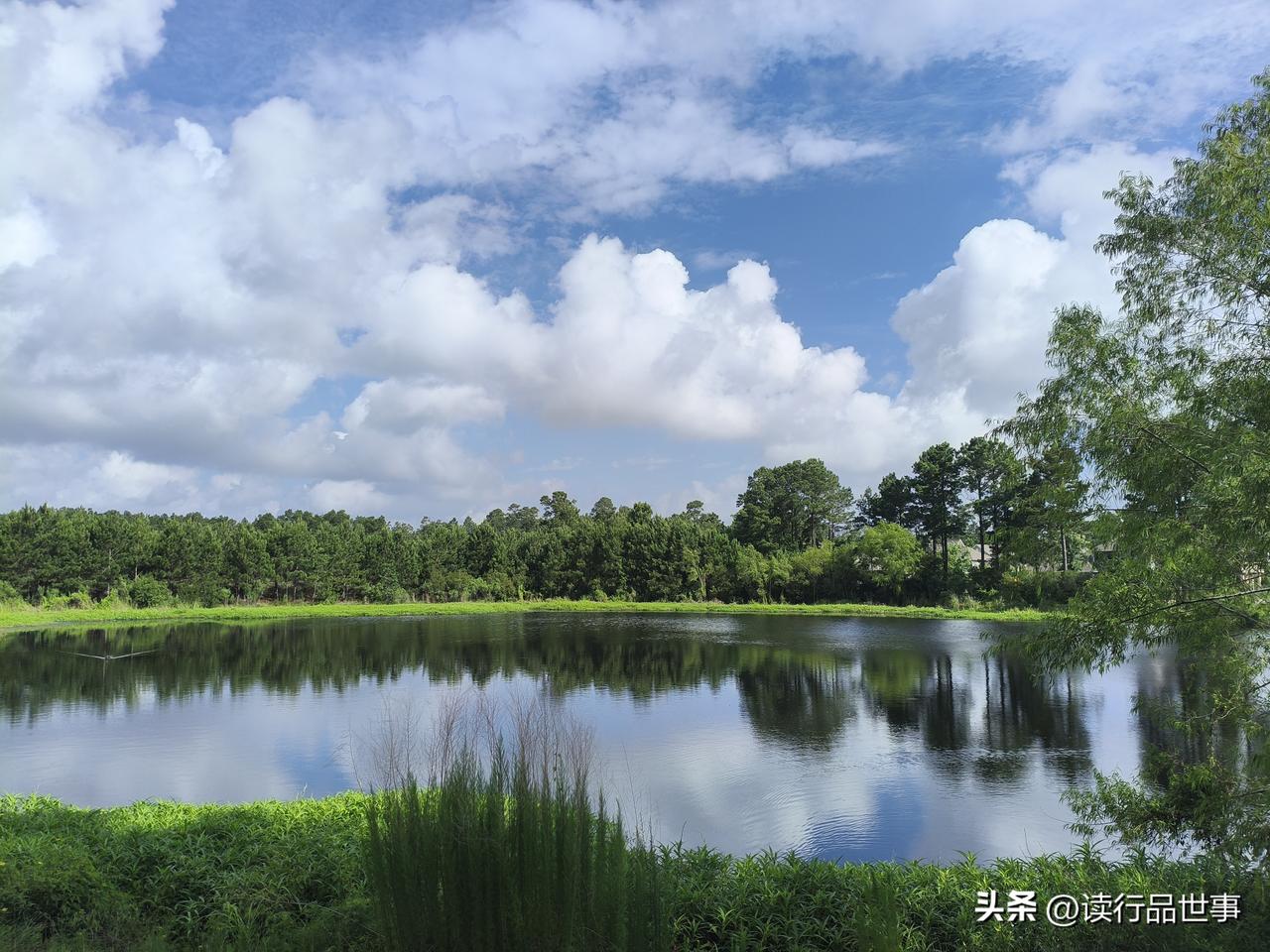 随手拍公园美景