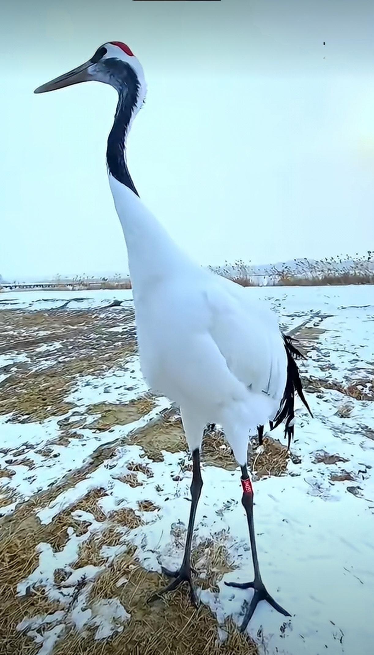 宝贝落户帝都的手续走到最后两步步，调档案了～

上周刚刚给人事服务中心送去缺少的
