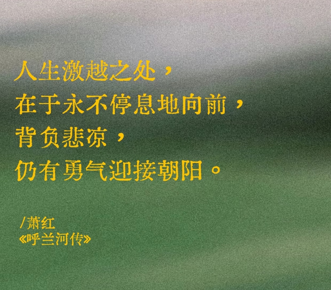 情感文案摘抄 ｜适合写在扉页的句子人生激越之处，在于永不停息地向前。背负悲凉，仍
