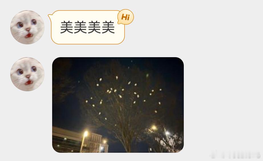 树上聚集的白鹭像大灯泡💡！ ​​​