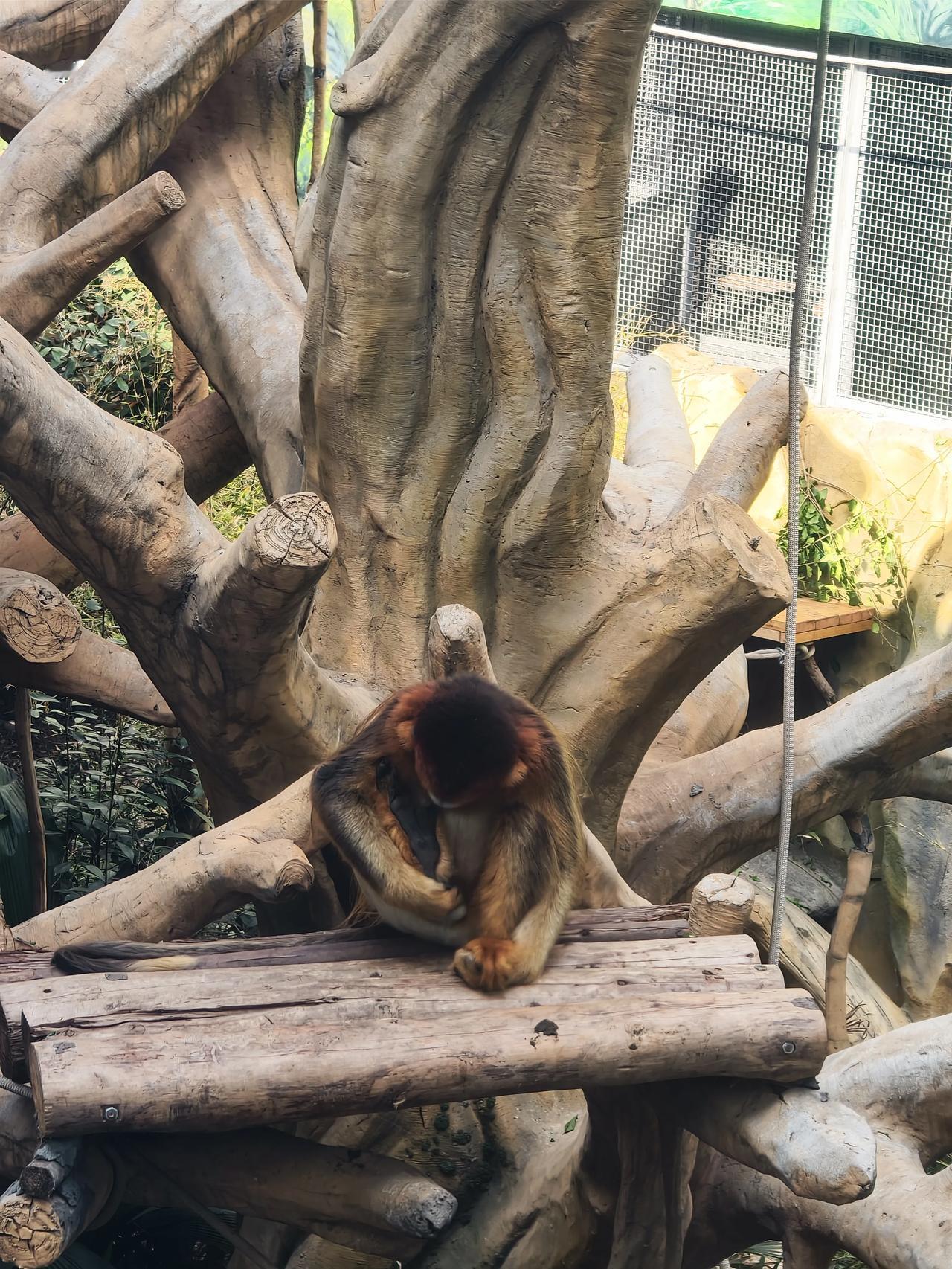 精英式路线还是大众式路线？美国和欧洲选择的路完全不一样。

当说到美国精英的时候