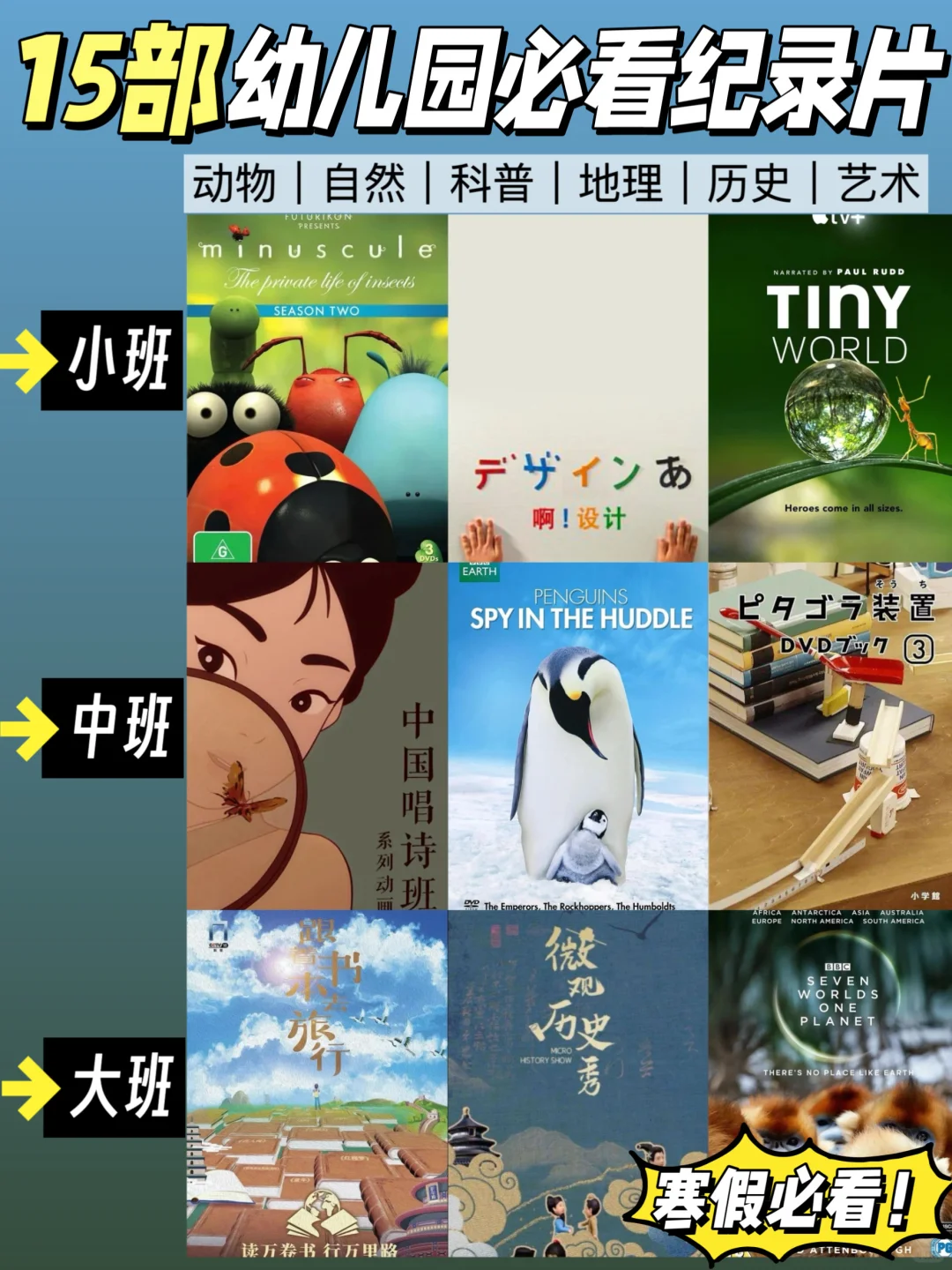🔥央视力荐｜15部幼儿园假期必看高分纪录片