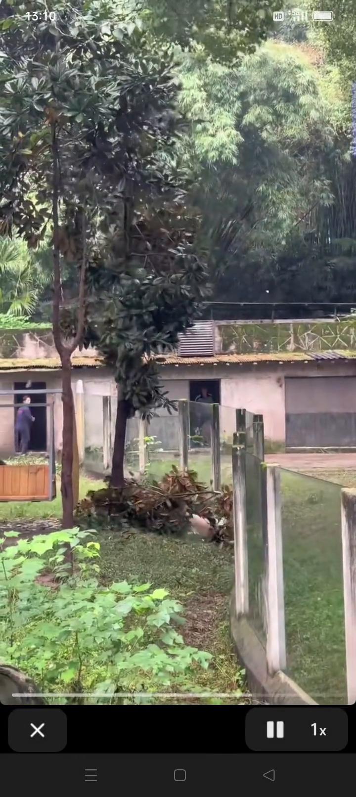 啊，啊，啊，啊，啊，啊，啊，啊，啊，啊，啊，啊，啊，啊，啊，啊。