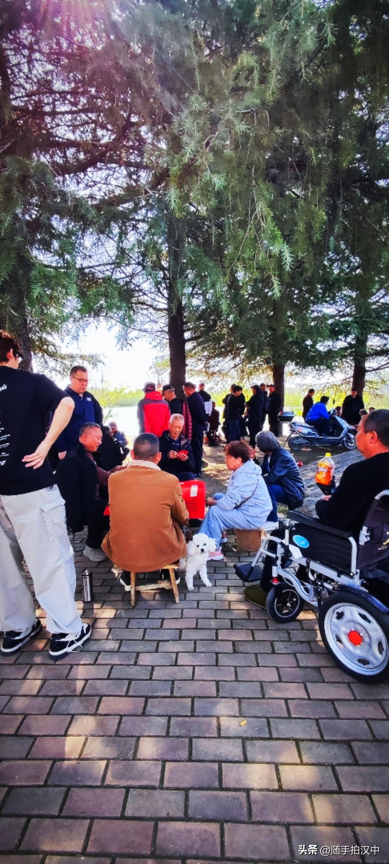 春日生活打卡季时常听到有人感慨：忙得时候想休息，闲下来了又不知道该干什么。当老了