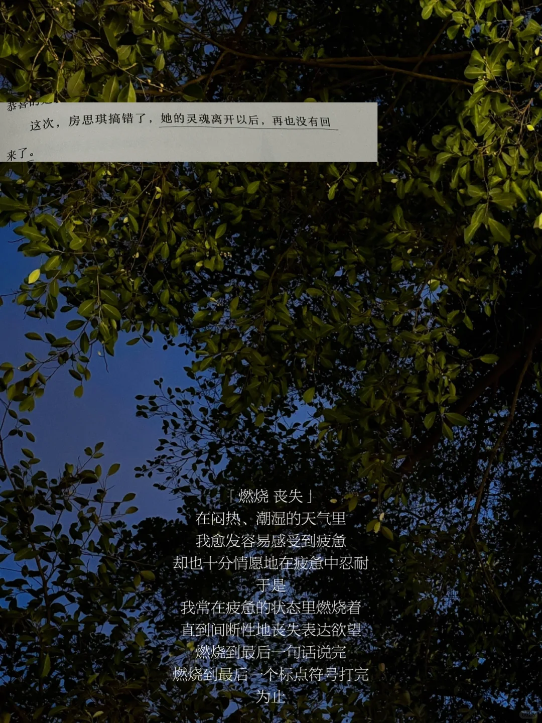 任何事物透过我，我就拥有任何事物的颜色。