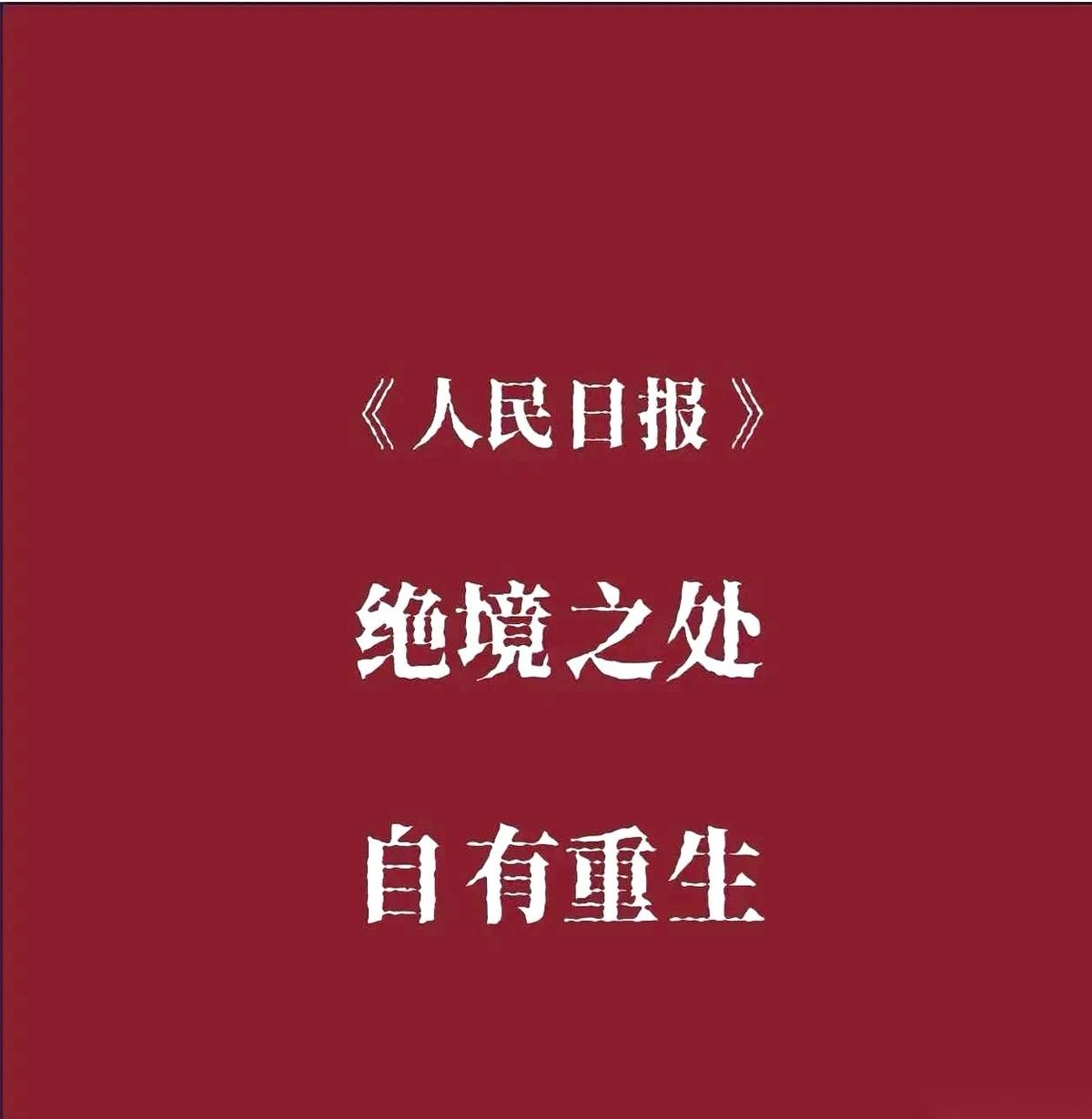 市场一片惨绿的时候，总有那么一拨人，眼睛里是放光的。
他们不是在祈祷，而是在低吼