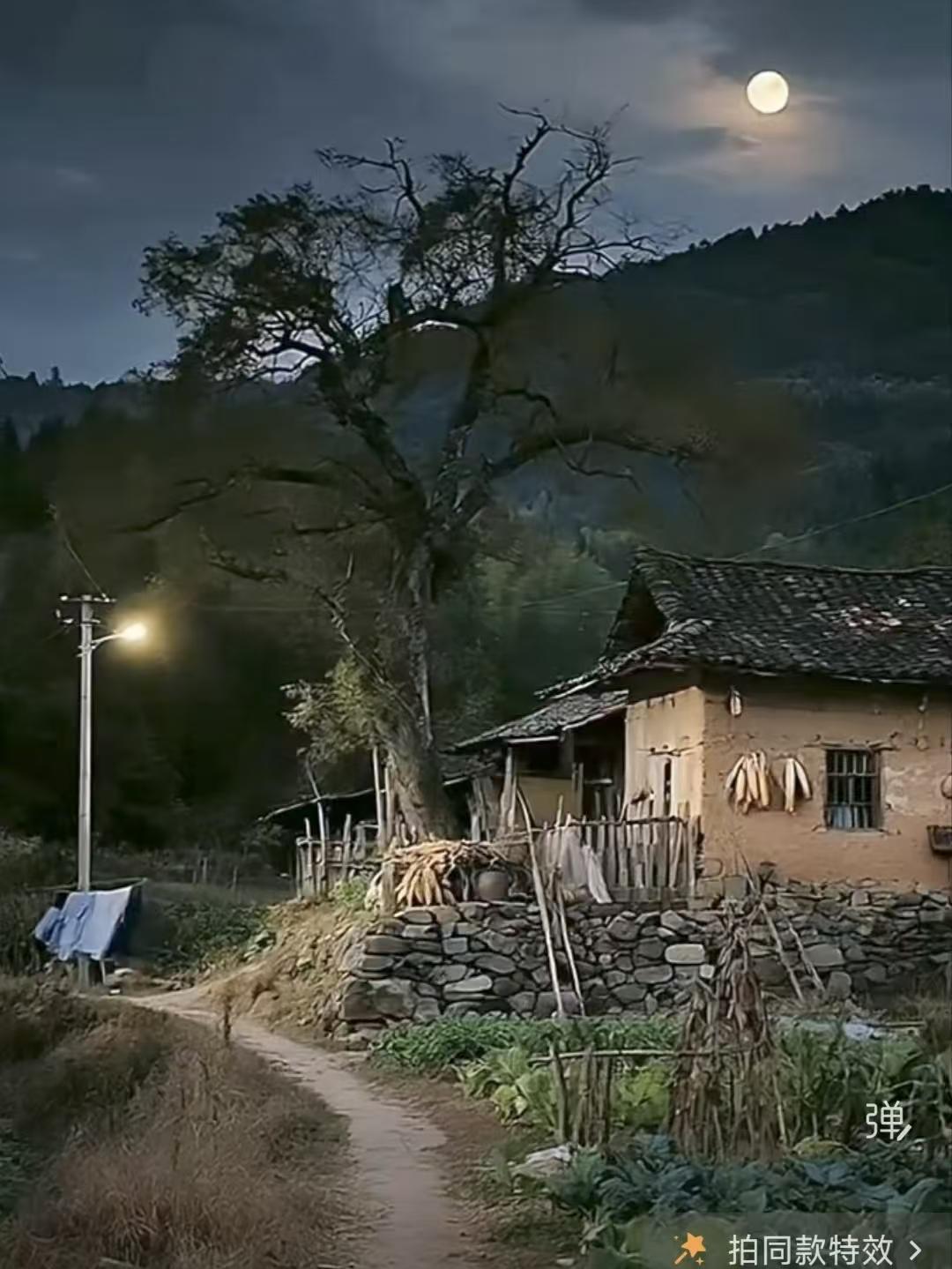 天净沙·故乡的月
深宵冷月云巅，
小风轻拂茅椽。
老树门前静山。
梦寻石畔，
此