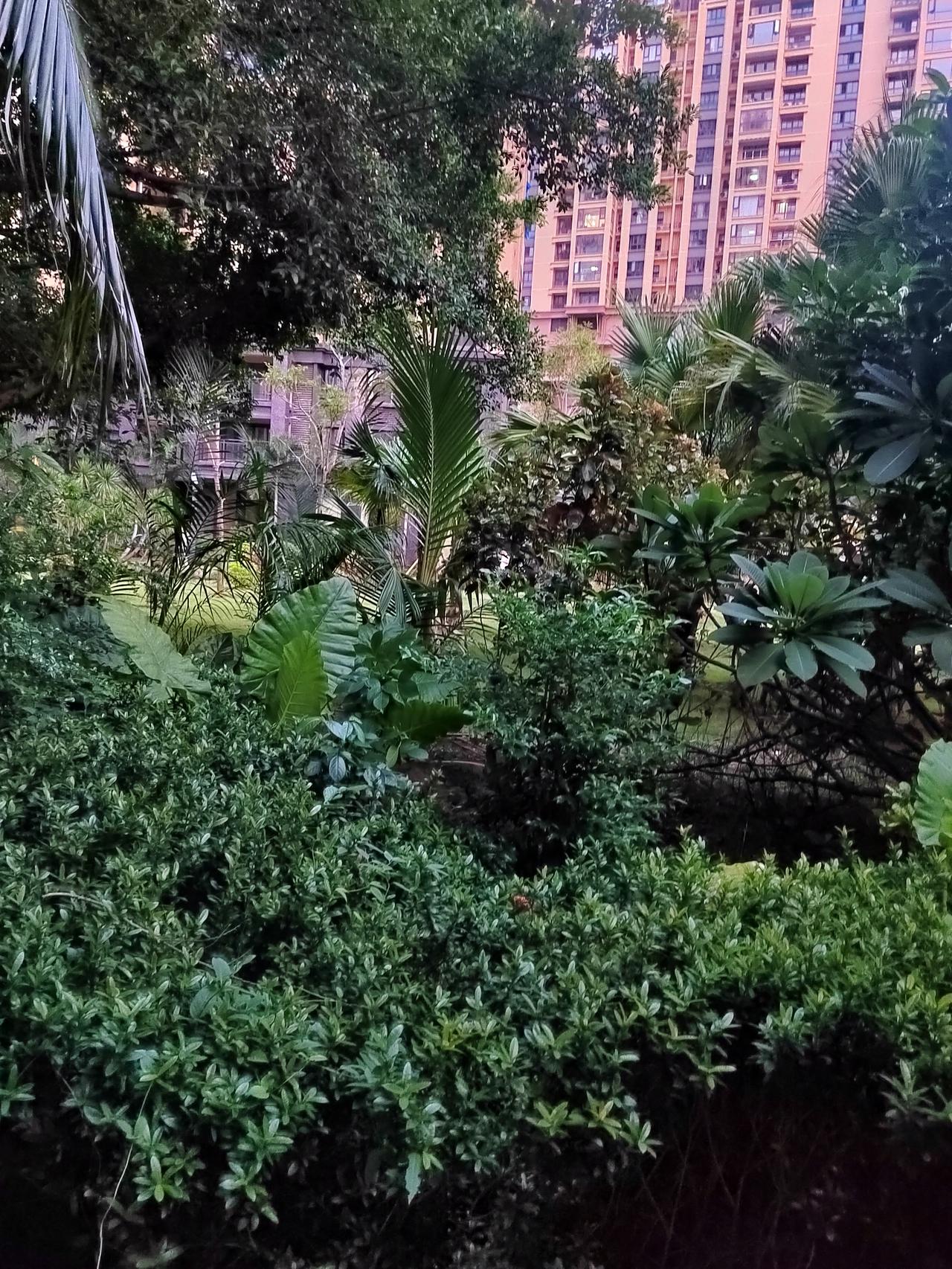 经历岁月匆匆，什么才是最美的风景？
      前阵子整理旧物翻出十年前的拍立得