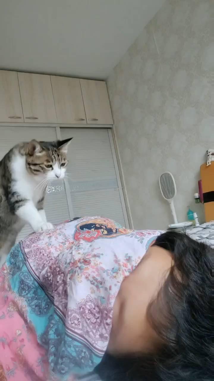 宝贝。