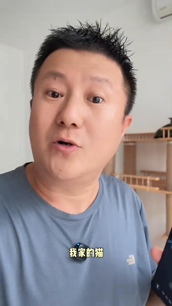 金子，你不睡觉难道是不困吗？现在是这个时间，是11：13，我家的猫都在睡觉的时间