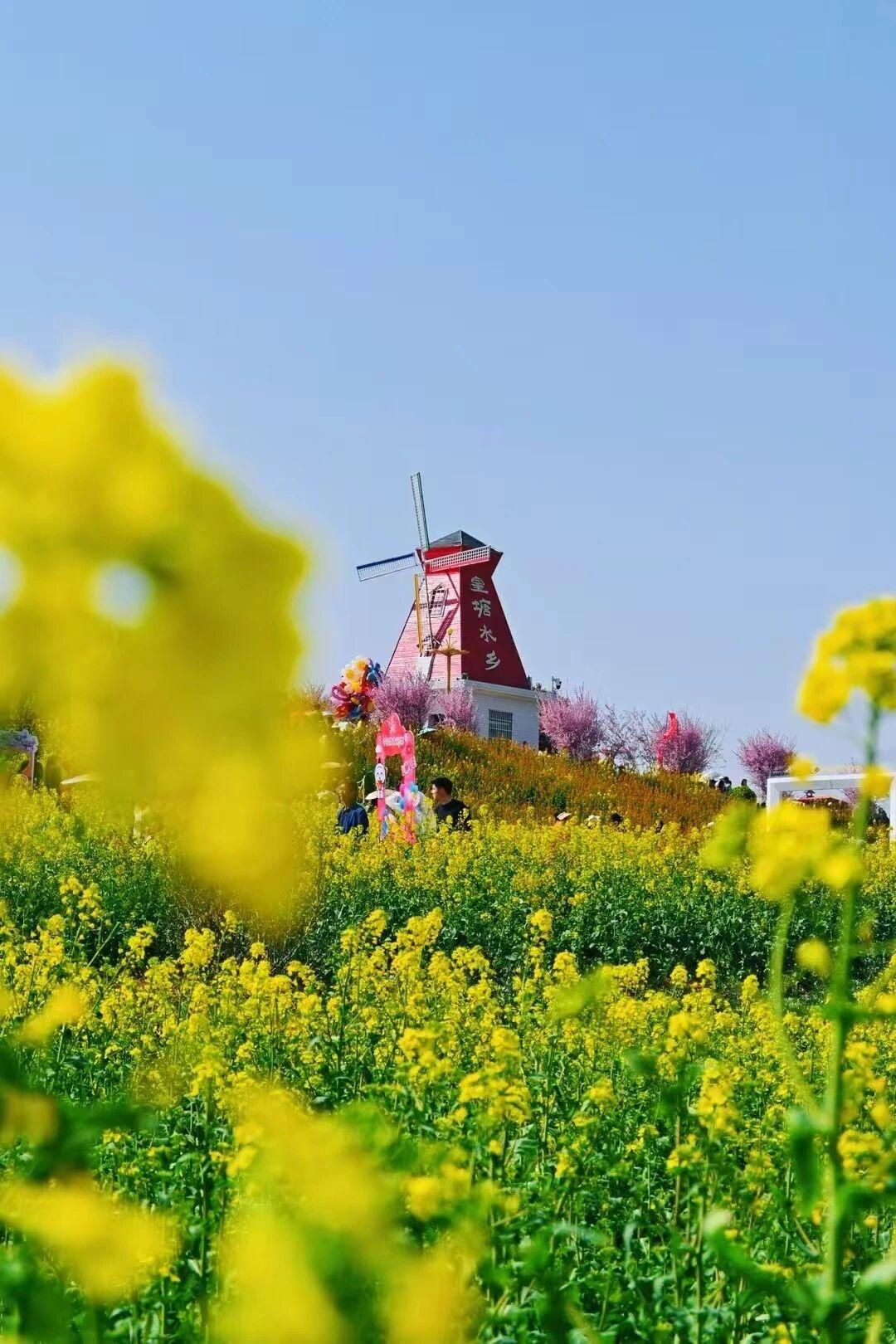 【3月22日，汉中皇塘景区再限流】皇塘水乡景区紧急限流公告
亲爱的游客朋友：　　