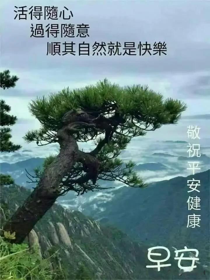 新的一日，心怀一份淡然，接纳生活的起落，愿所有辛苦，都有温柔归宿。