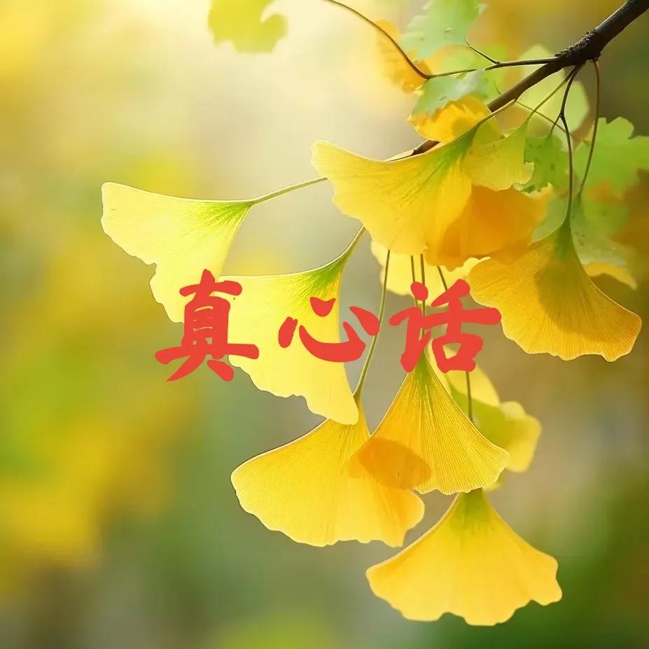 金言十九句，绝了！第一句就惊了！

【第一句】被恨的人没有痛苦，恨人的人却终将遍