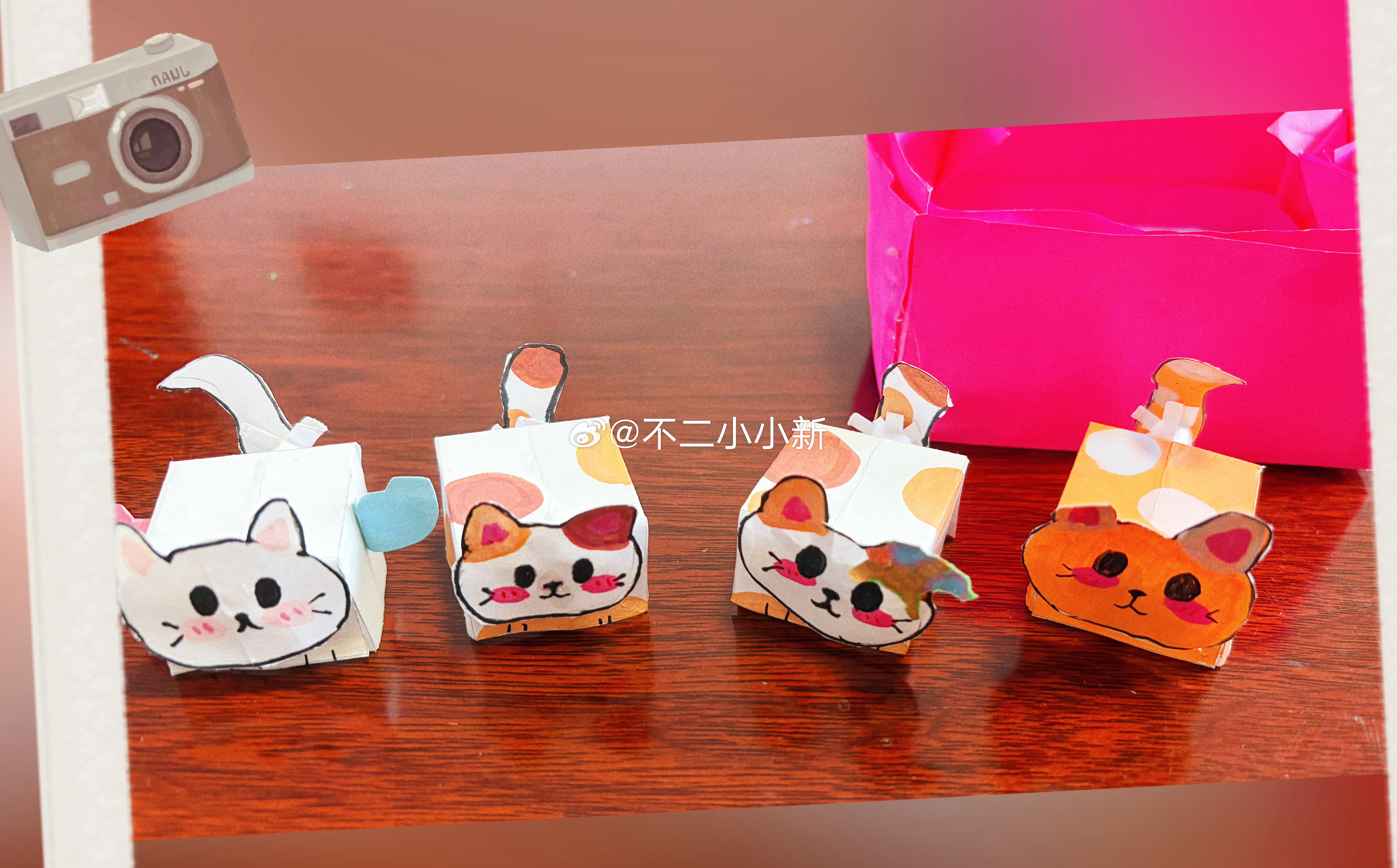 可爱猫猫们：棉花糖、小小花、小花花、小橘子 