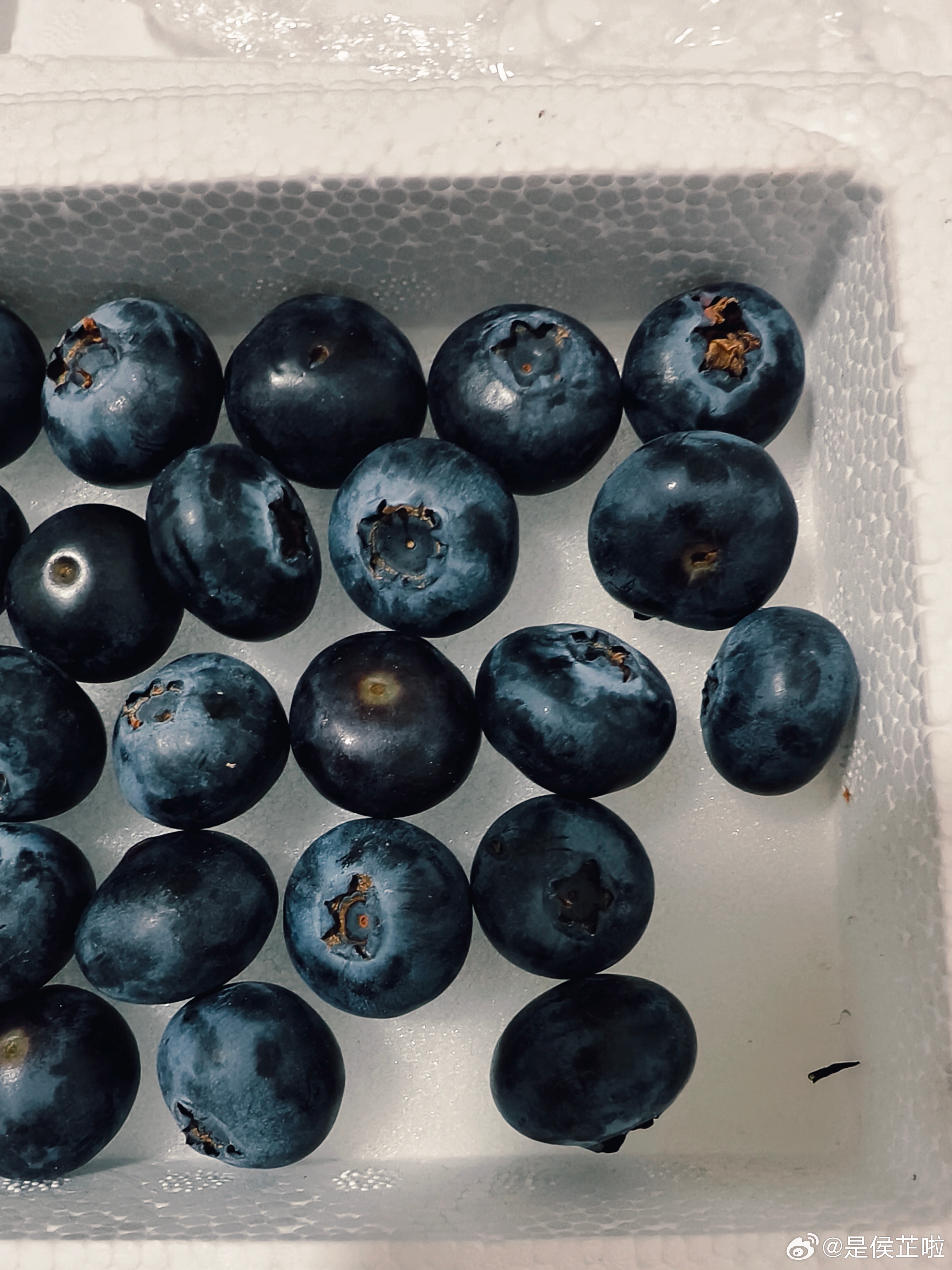 小杨同学心心念念的蓝莓到啦很大，很好吃老板也很爽快，真得很愉快的体验他和姥姥一起