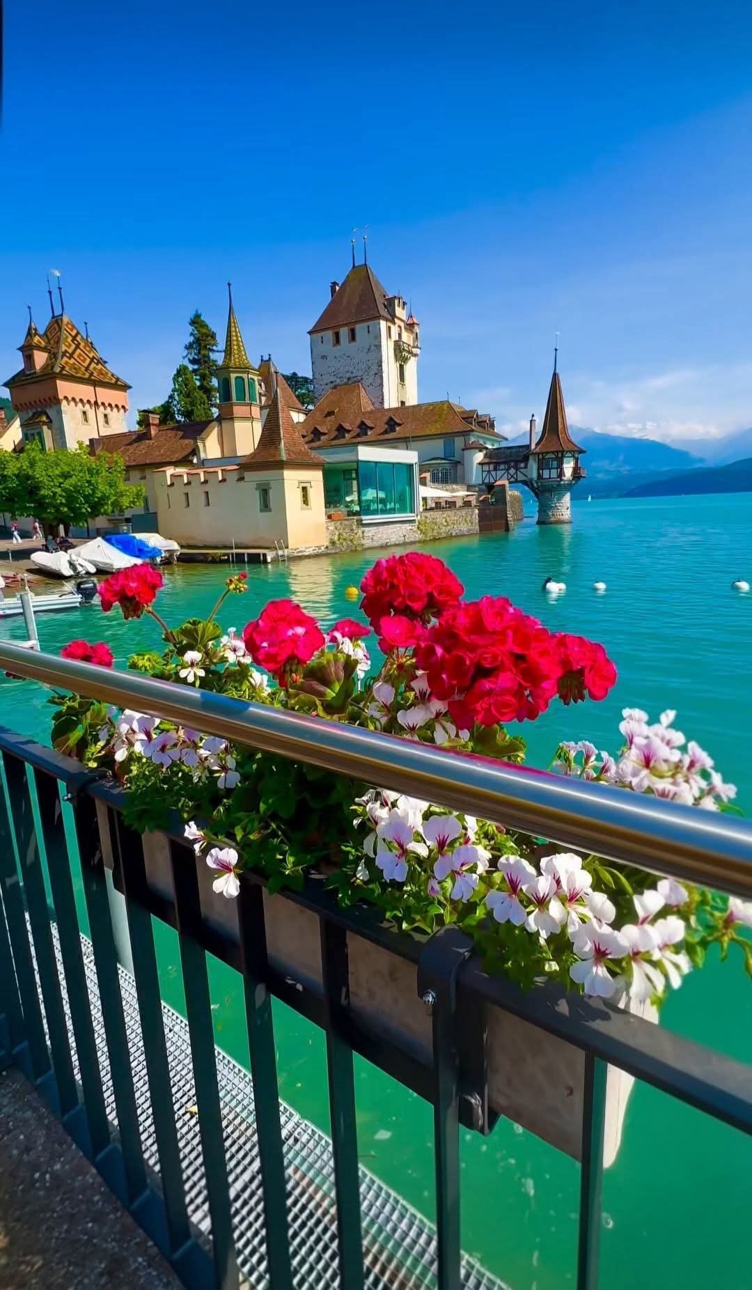 旅游  瑞士🇨🇭. ​​​