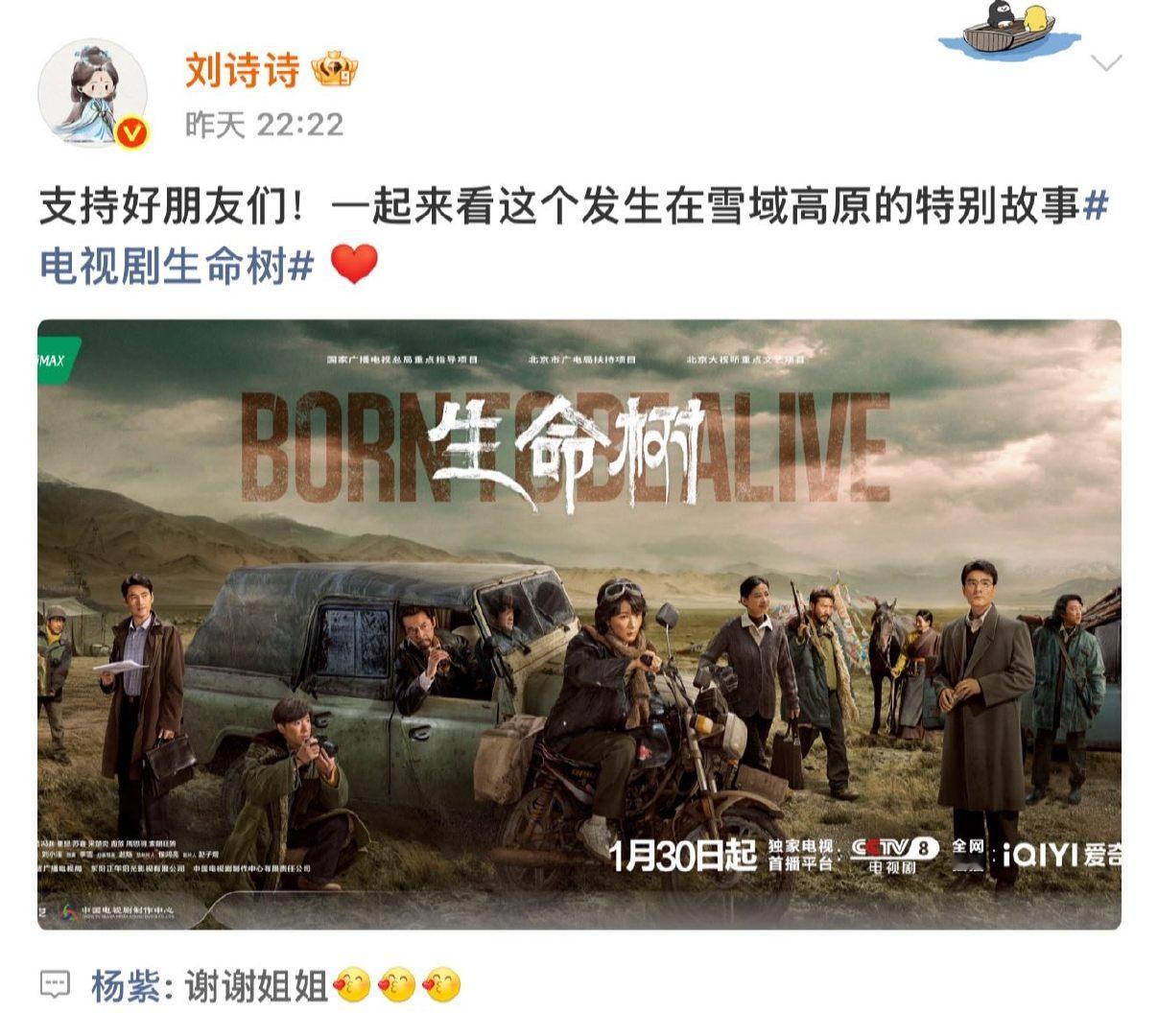 杨紫谢谢姐姐杨紫谢谢刘诗诗姐姐杨紫回复刘诗诗谢谢姐姐杨紫