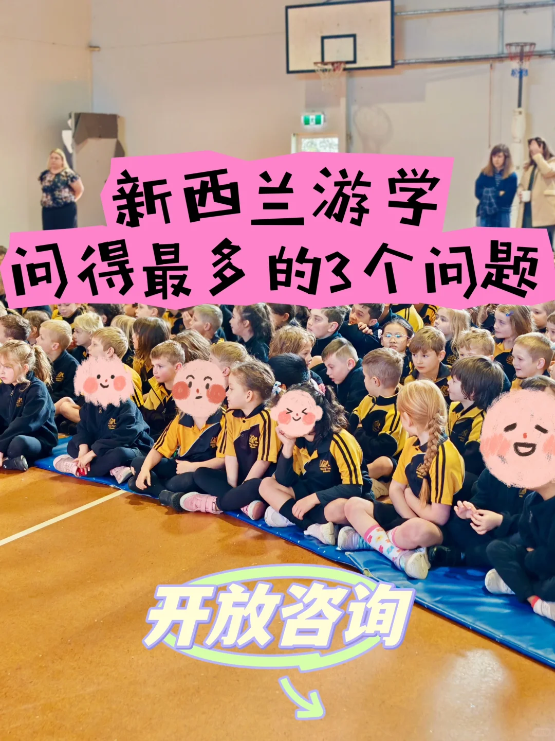 新西兰游学问得最多的3个问题（开放询问）